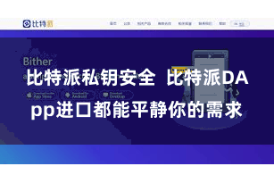 比特派私钥安全 比特派DApp进口都能平静你的需求